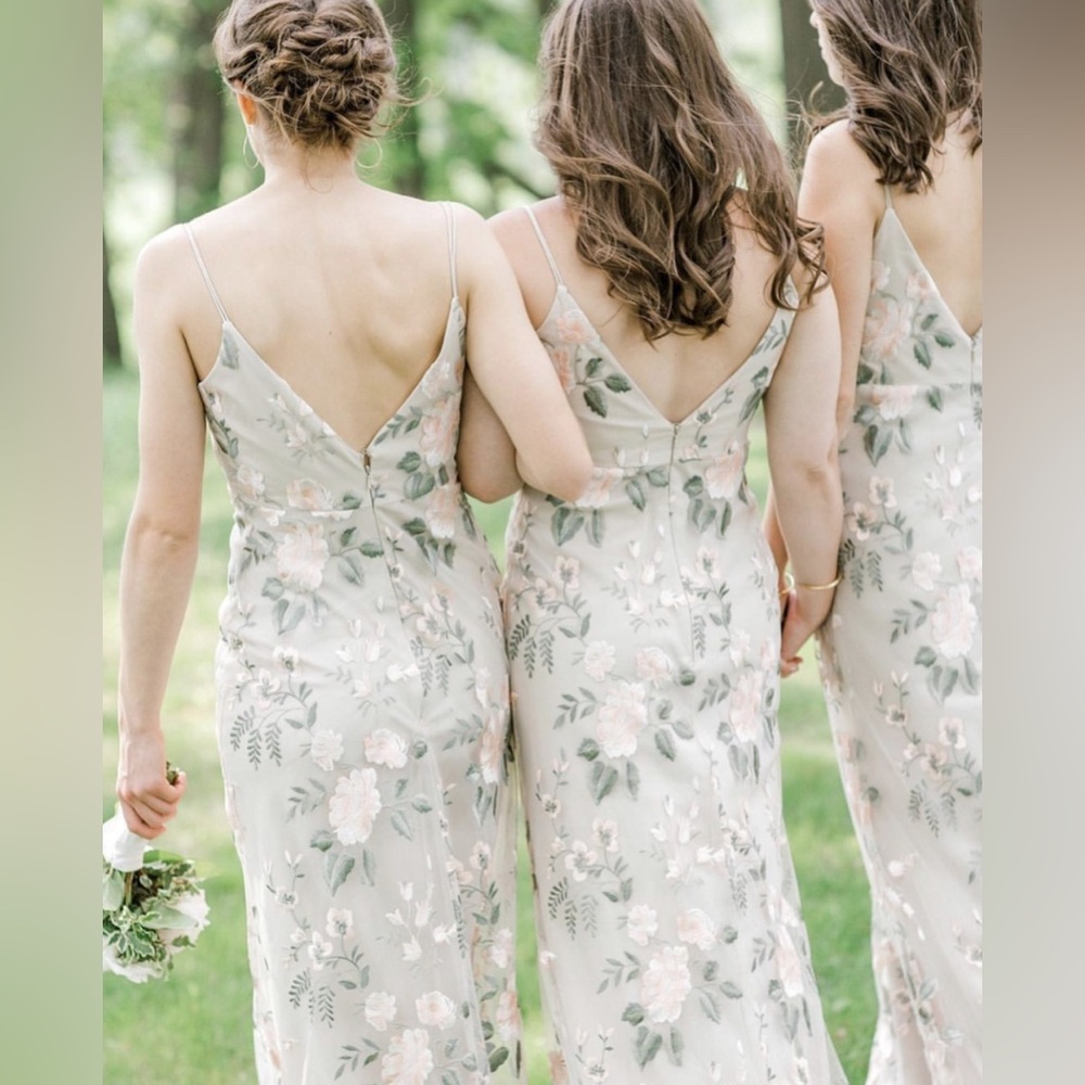 Jenny Yoo‎ Julianna Enchanted Floral Embroidery - Picture 5 of 11